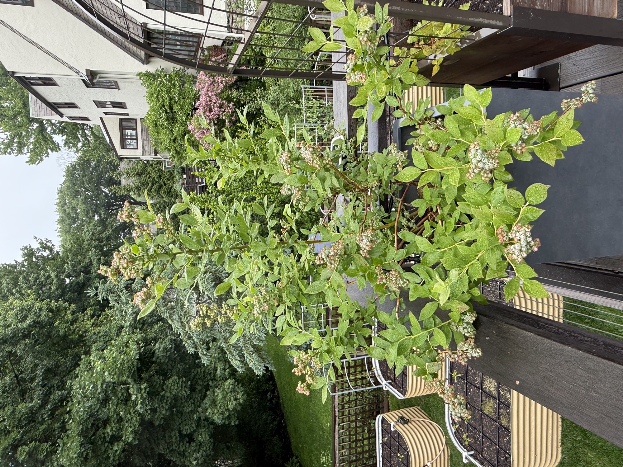 In context on the deck (May 24, 2026)